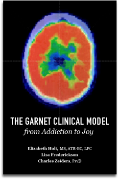 The Garnet Clinical Model